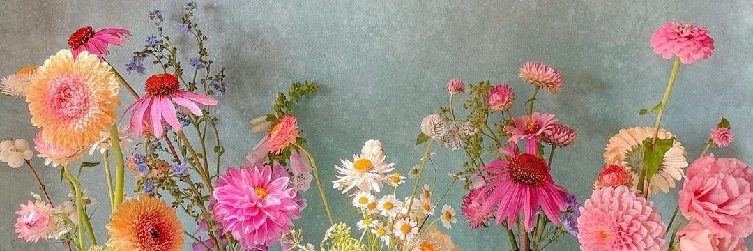 Jill Daviau 🇨🇦 😷 banner