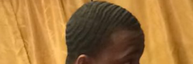 goldengillum's profile banner image