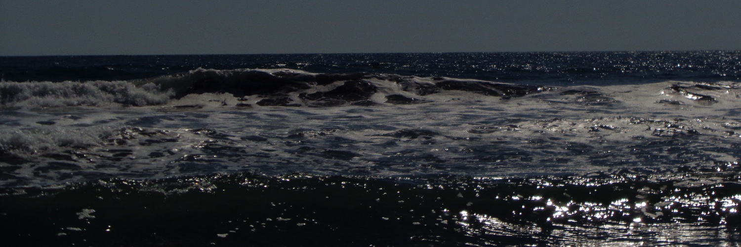 NicheMatchaK's profile banner image