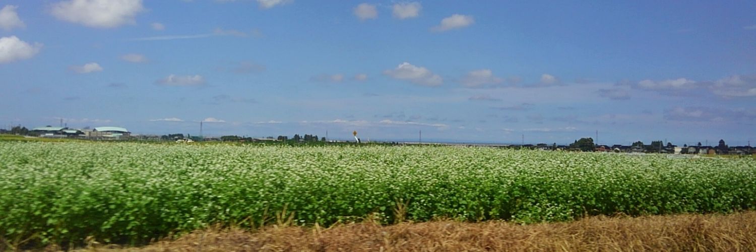 Hide@通訳案内士 banner