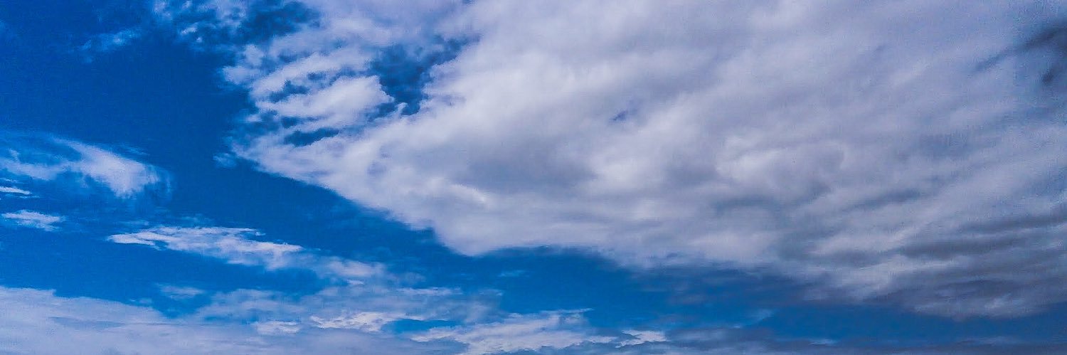 Vas banner