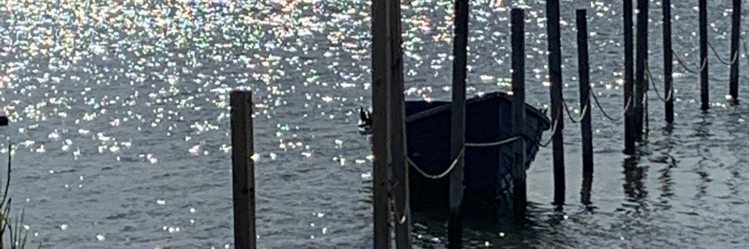 Beach Chair Says banner