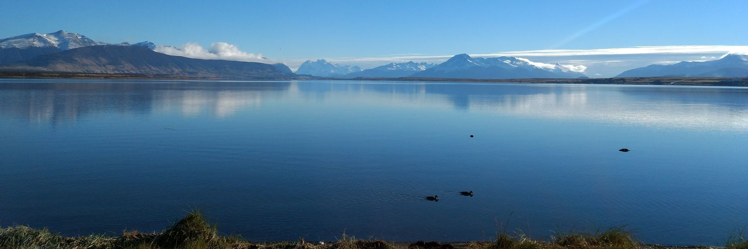 DERM🏉🏏🏴‍☠️🇨🇱🇫🇰🇮🇱🇺🇦🇹🇼 banner