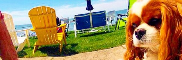 seculargrowth Profile Banner