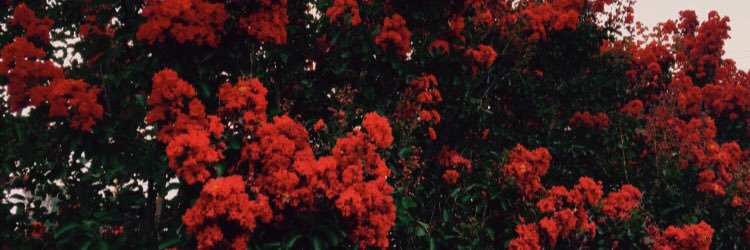 melparkerrr's profile banner image