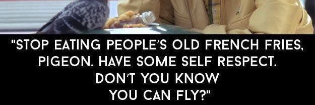 Dr. Chance Pants banner