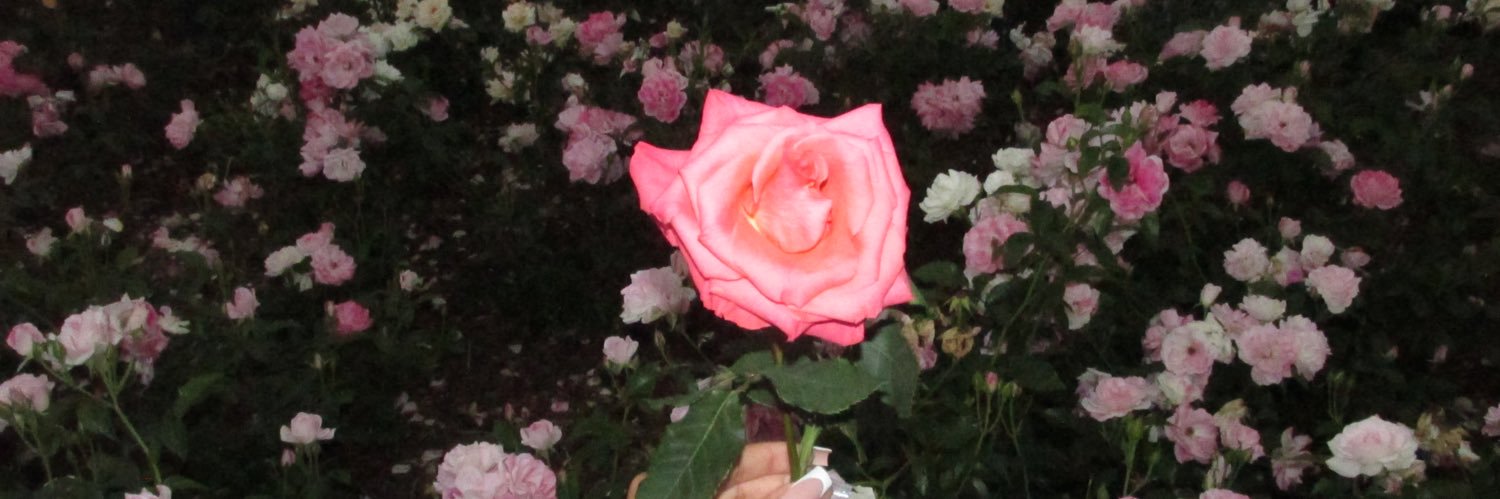 muñekita🎀 banner