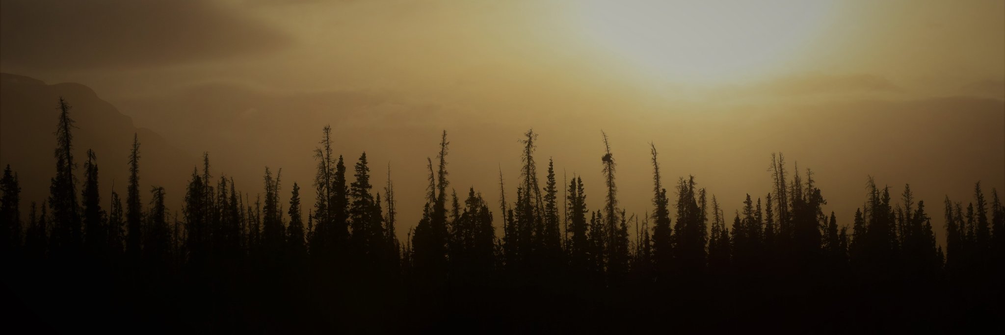 Dr. Melanie R. Boudreau banner