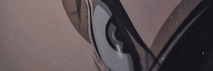 23 banner