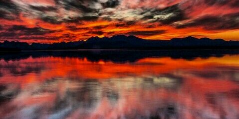 Bobby_Harp21's profile banner image