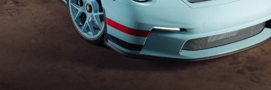 dolly banner
