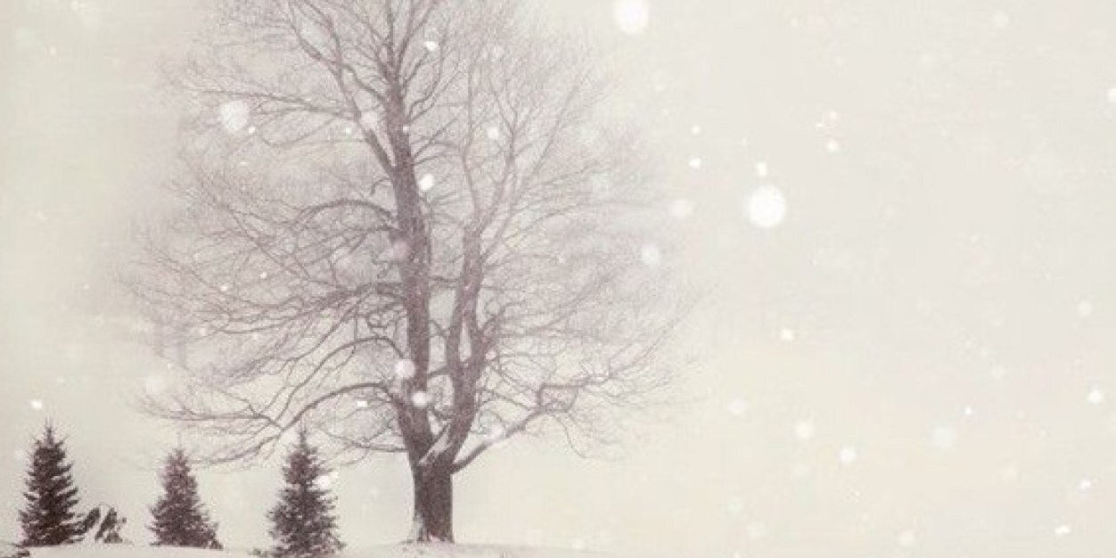 2012Ladymeemoo's profile banner image