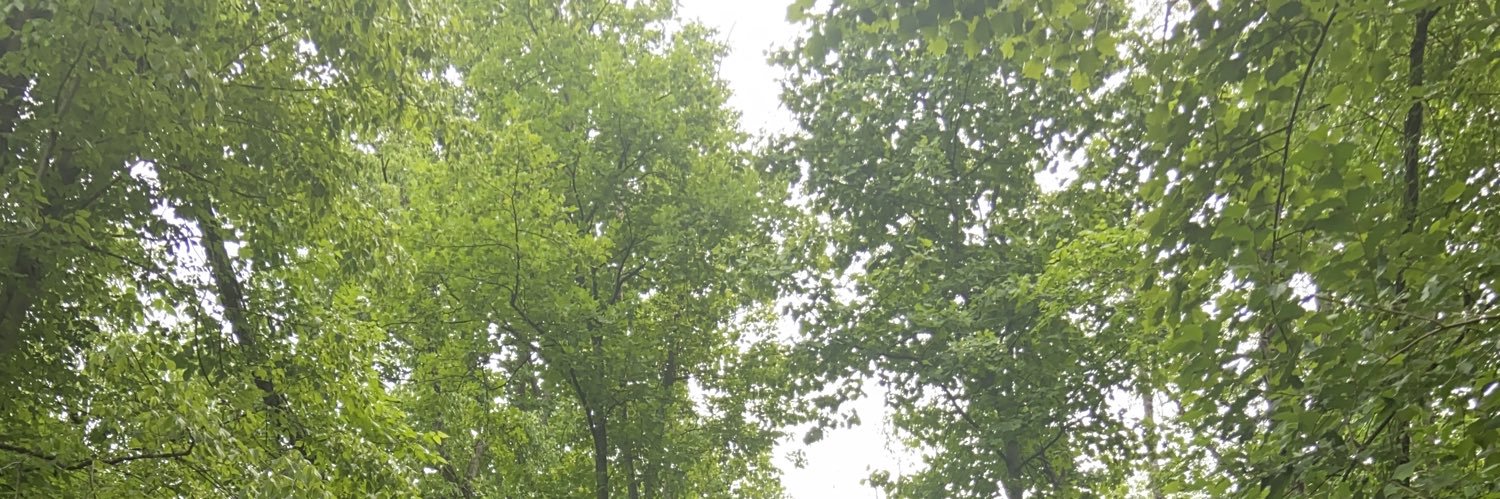 dxvidwest's profile banner image