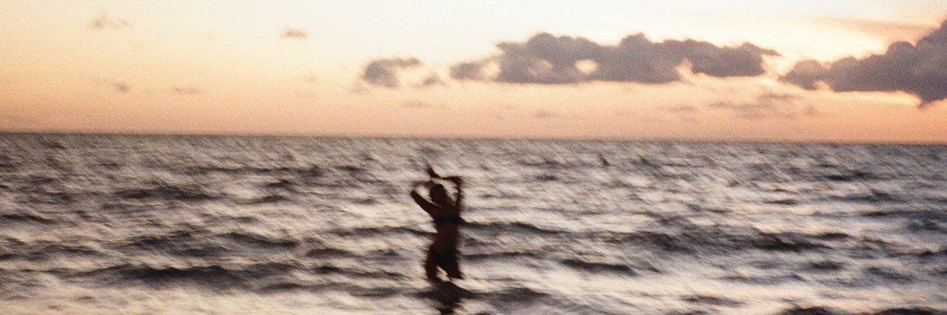 emilio banner