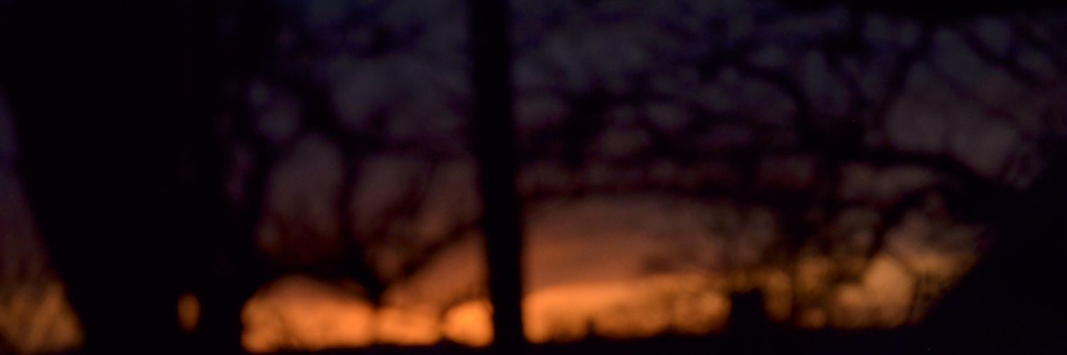 therealmuffer's profile banner image