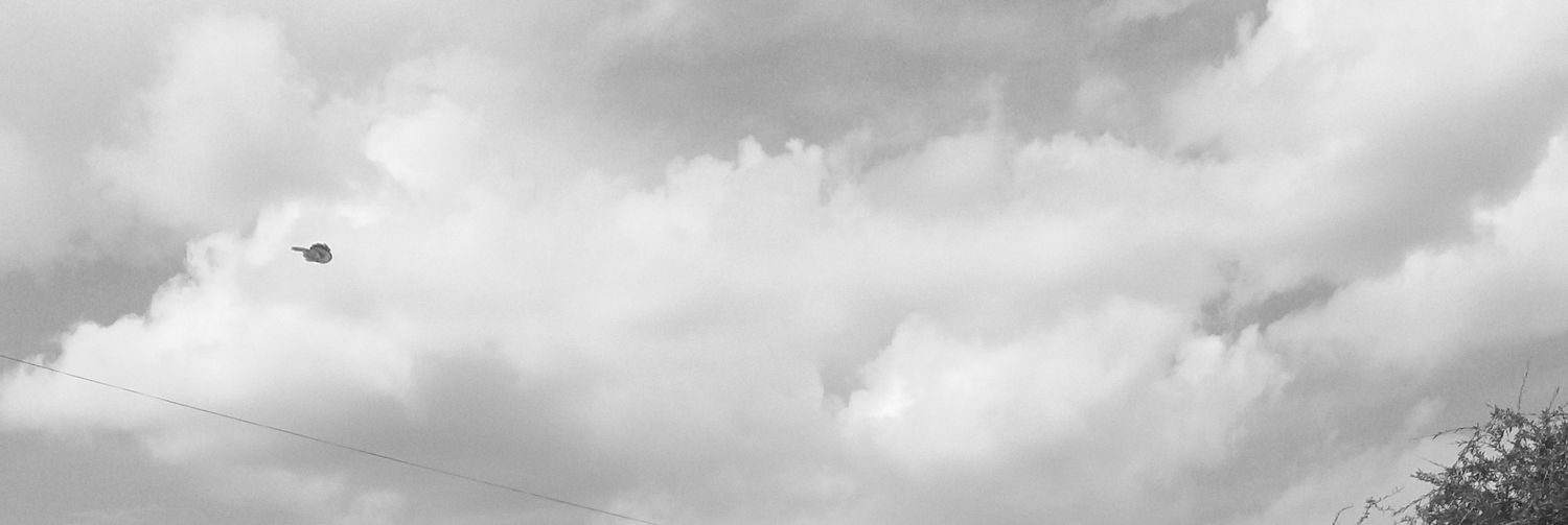 not_phenyo's profile banner image
