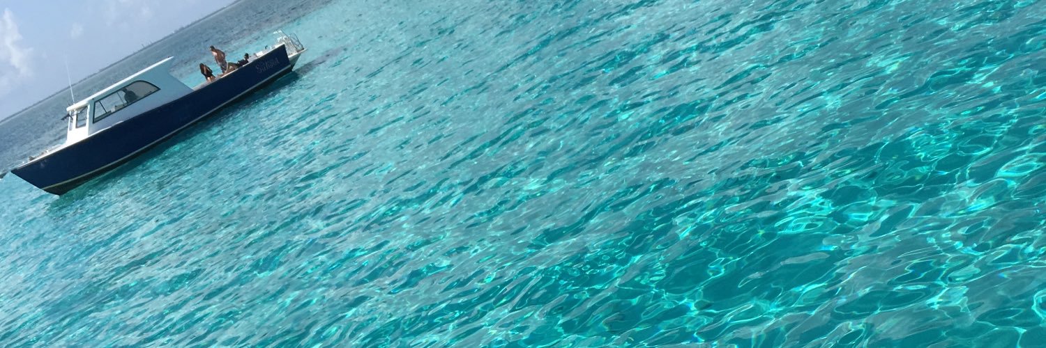Caro__fine's profile banner image