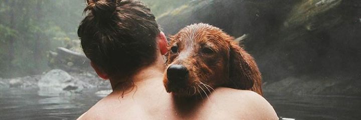gbiauki_'s profile banner image