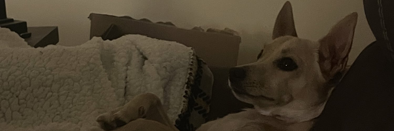 chlobaby00's profile banner image