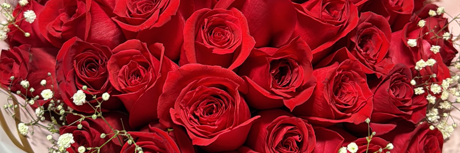 Mariaperazab's profile banner image