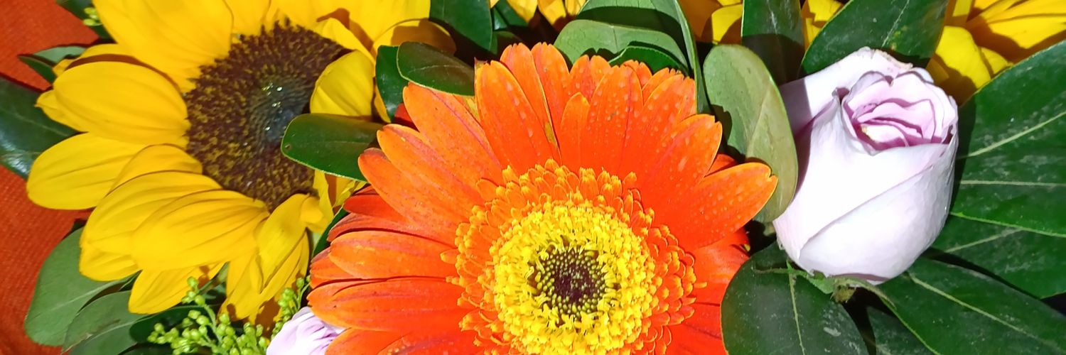angie9407's profile banner image