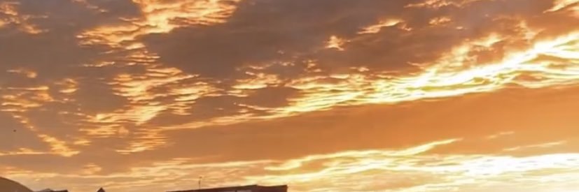 edithtorres_'s profile banner image