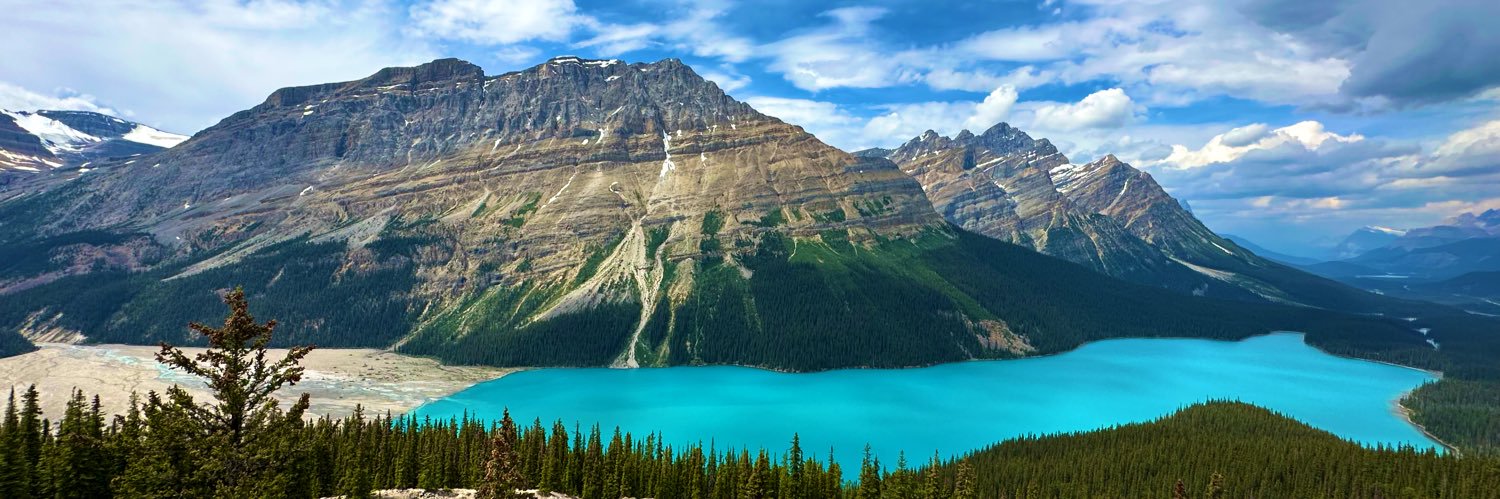 Danny Halarewich banner