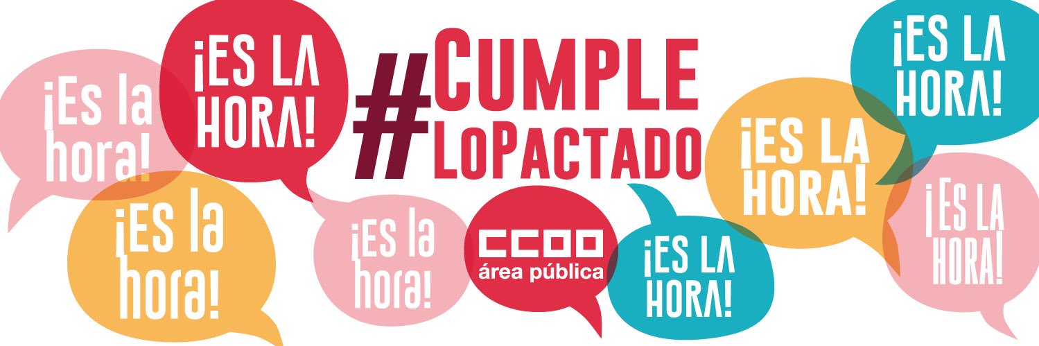 FSS-CCOO's banner