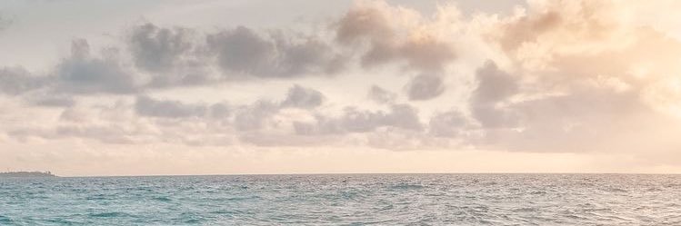111_w3ad's profile banner image