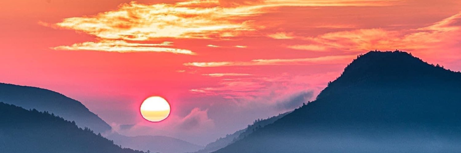 Amanda Tomplait banner