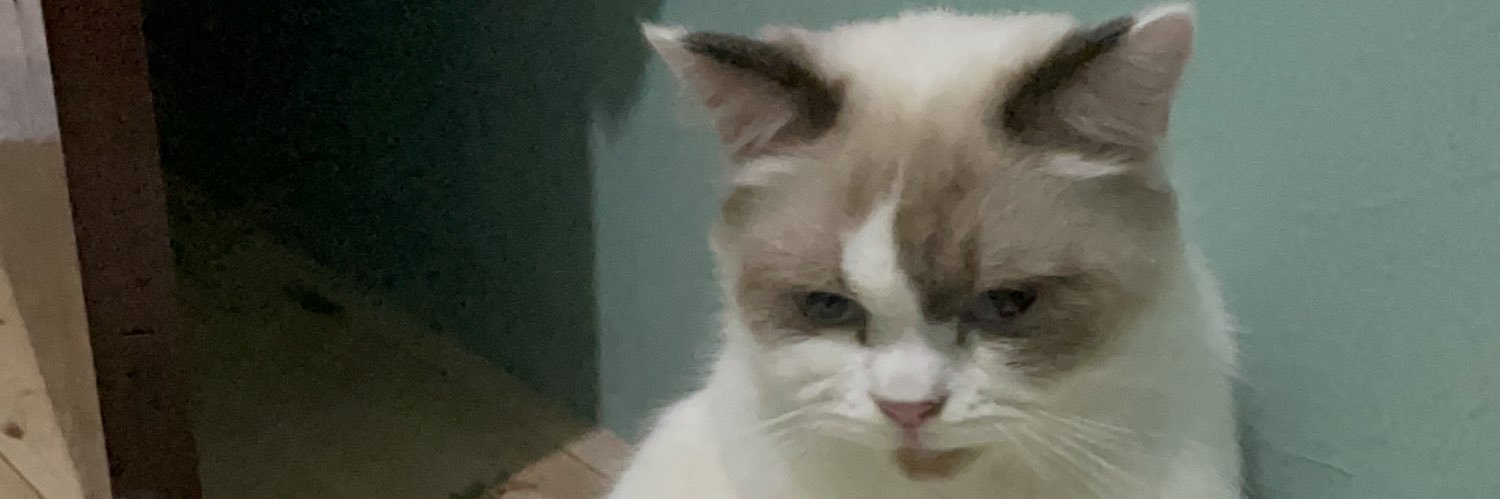 matiditembak's profile banner image