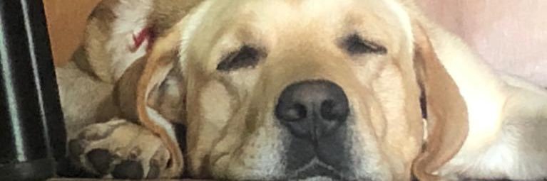 Giisellem06's profile banner image