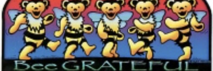 BeanaInMyHead's profile banner image