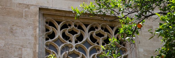 tryexceptpass Profile Banner