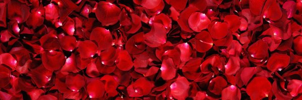 Perfumotherapy Profile Banner