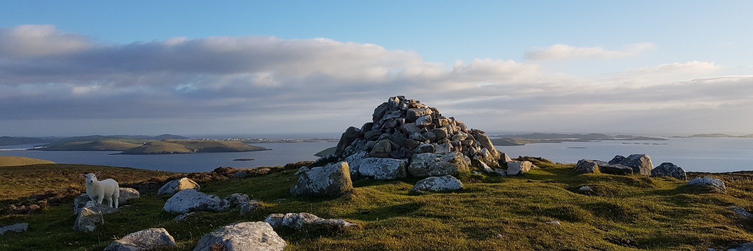 Inne Withouck, PhD banner