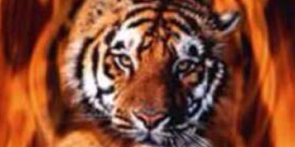 _cuate1999's profile banner image