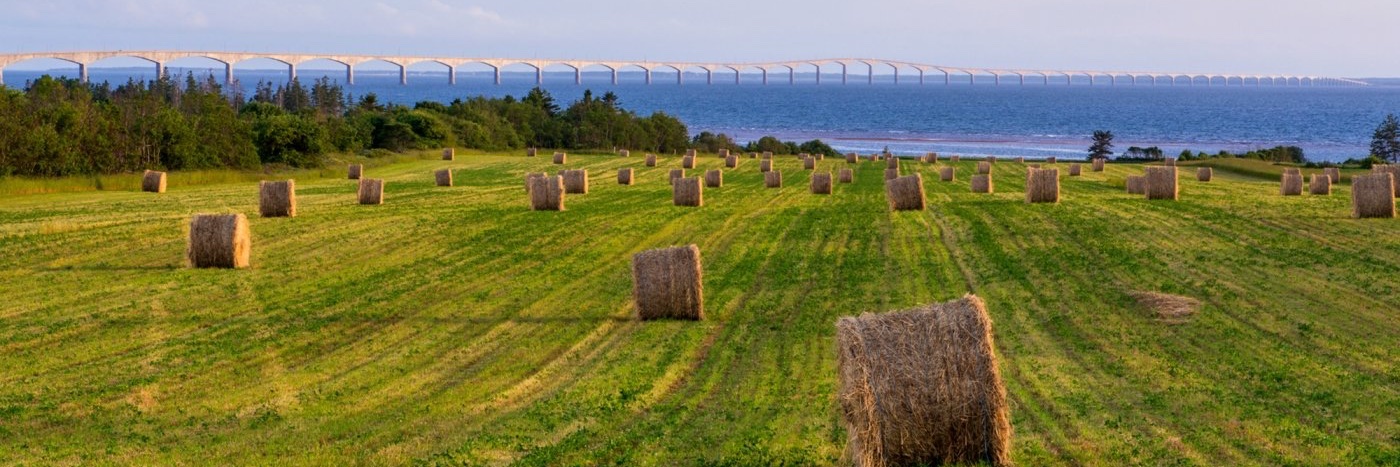 Gordon Rogers banner