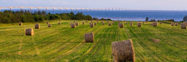 startupangel Profile Banner