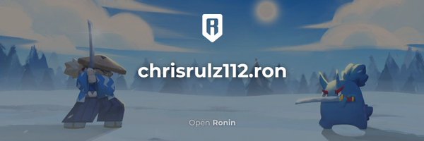 chrisrulz112 Profile Banner