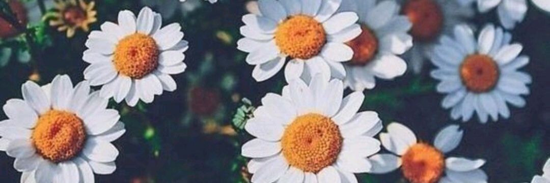_OneHappiness's profile banner image