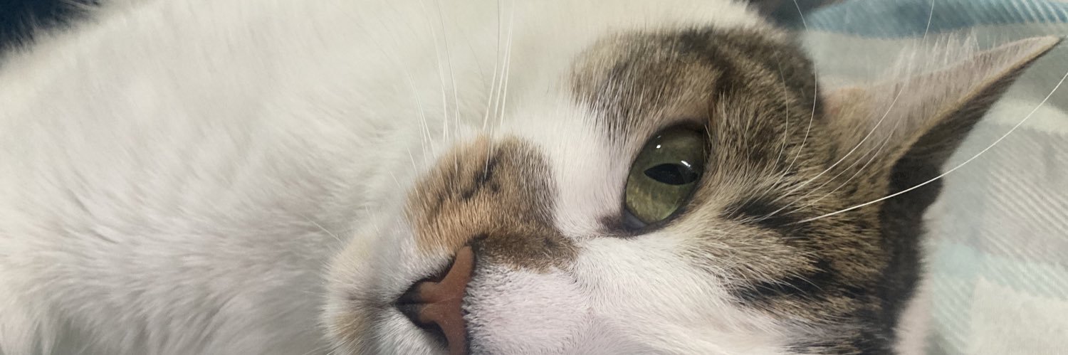 itsbeayall's profile banner image