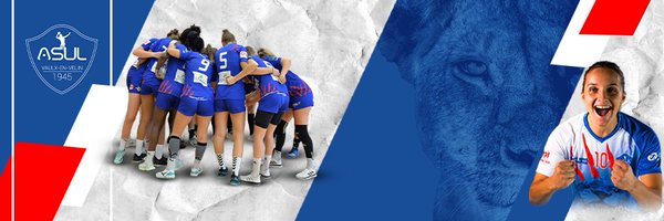 asulhandball Profile Banner
