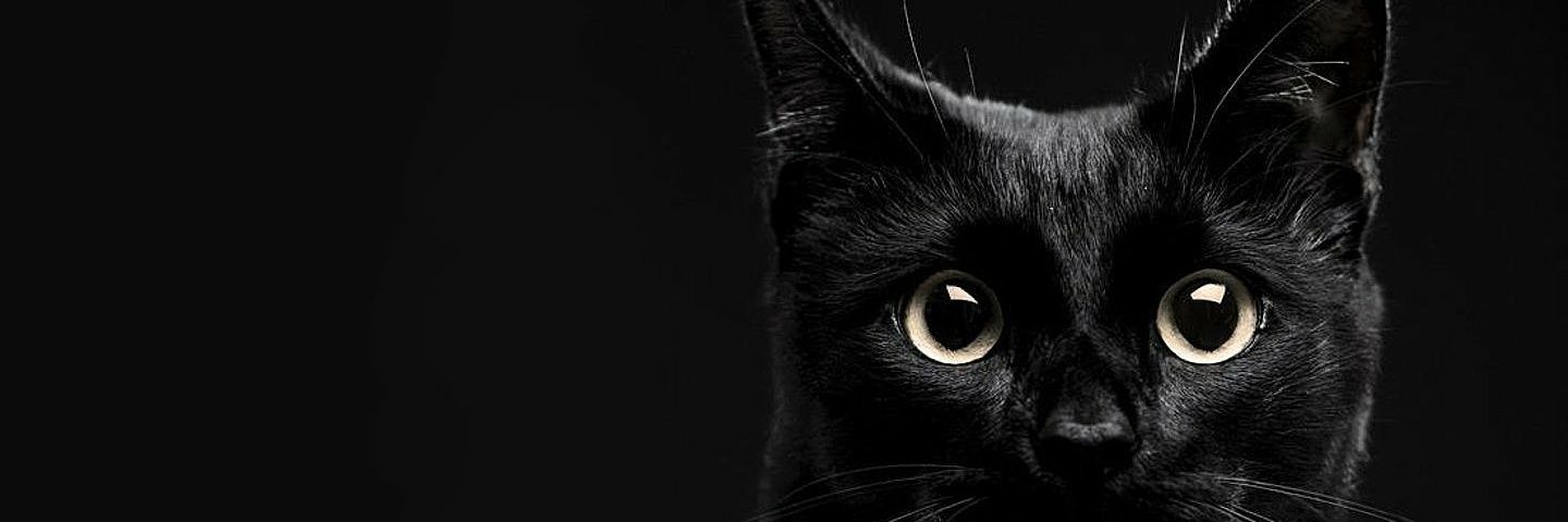 guido_mr's profile banner image