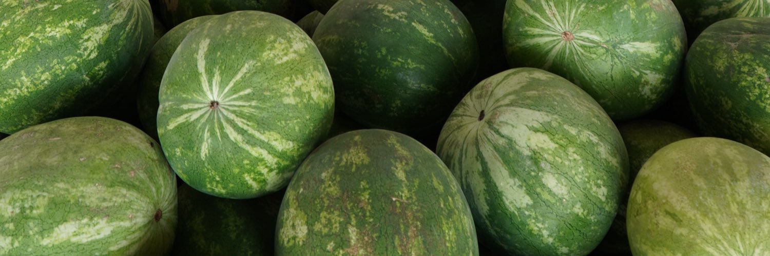 Melon 1 banner