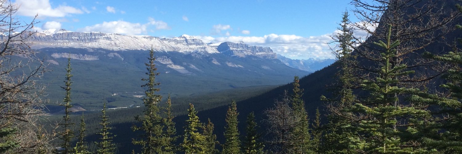 Connor Hockley | ETHGas ⛽ banner