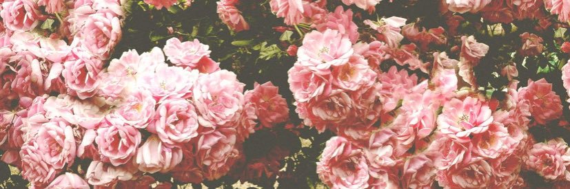 madyewing10's profile banner image