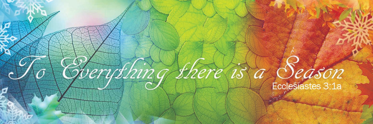 EliB123's profile banner image
