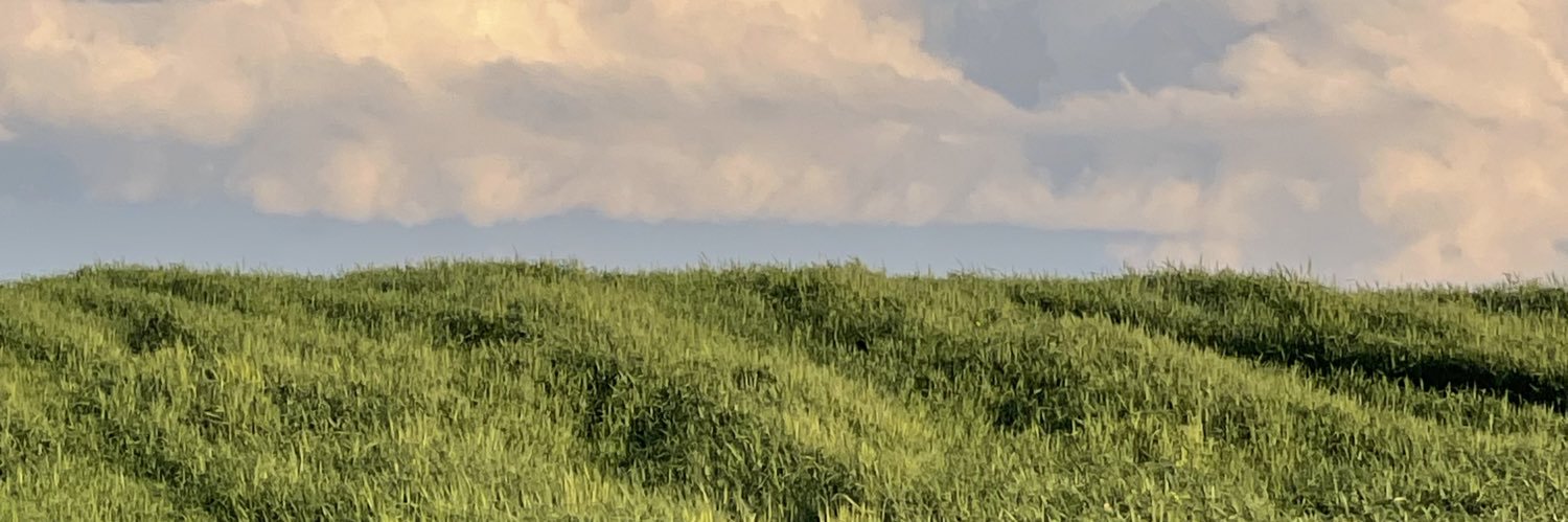 1mezr's profile banner image