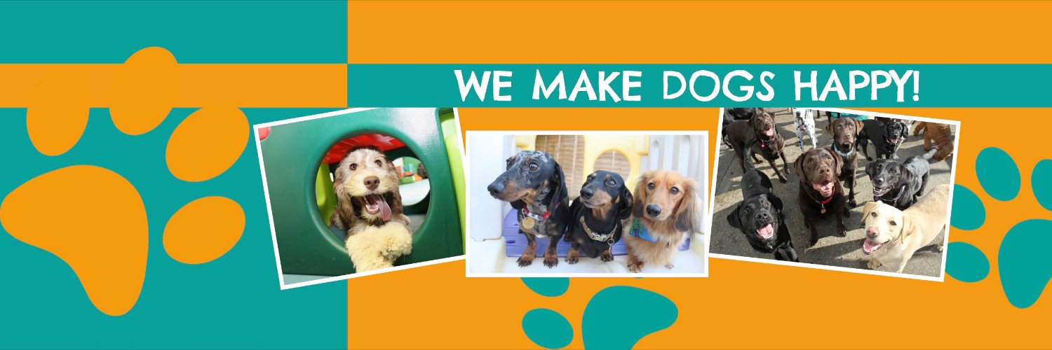 Jon - Camp Tails banner